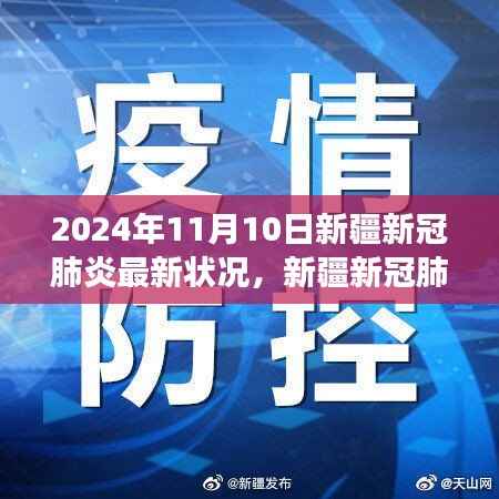 2024年11月10日新疆新冠肺炎最新动态及深度解读