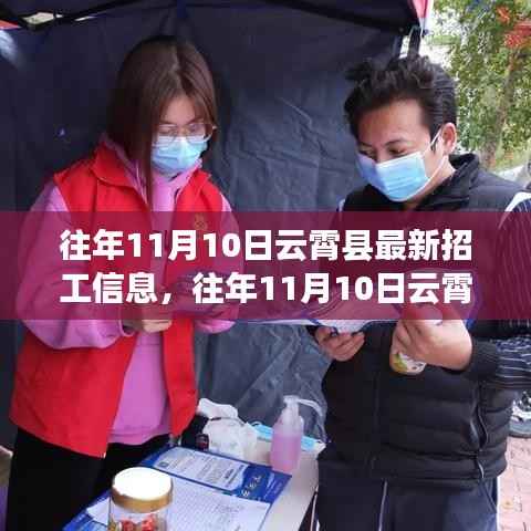 往年11月10日云霄县招工信息汇总与分析,最新岗位一览