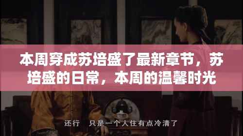 本周苏培盛的日常,温馨时光与友情纽带最新章节发布