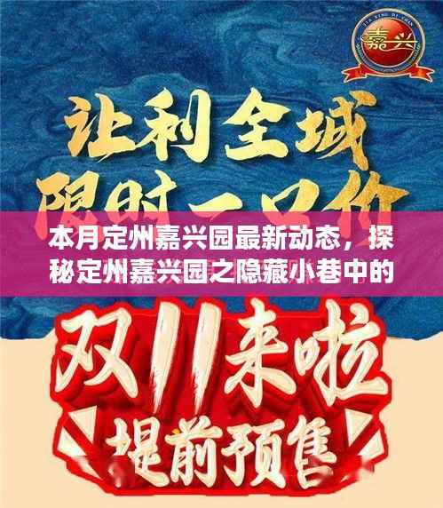 本月定州嘉兴园最新动态，探秘隐藏小巷的独特风味——新鲜打卡指南