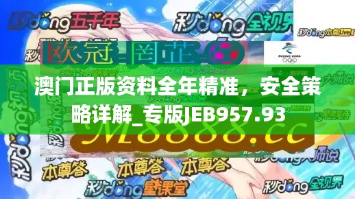 澳门正版资料全年精准,安全策略详解_专版JEB957.93