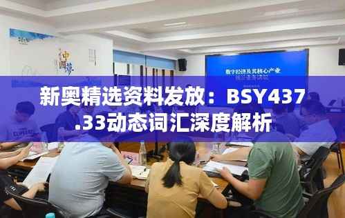 新奥精选资料发放:BSY437.33动态词汇深度解析