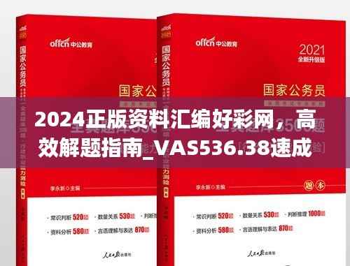 2024正版资料汇编好彩网,高效解题指南_VAS536.38速成版