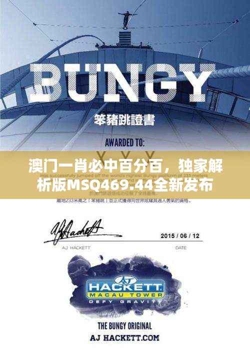 澳门一肖必中百分百,独家解析版MSQ469.44全新发布