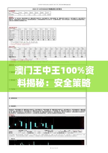 澳门王中王100%资料揭秘:安全策略评估报告_造化境XUK645.54