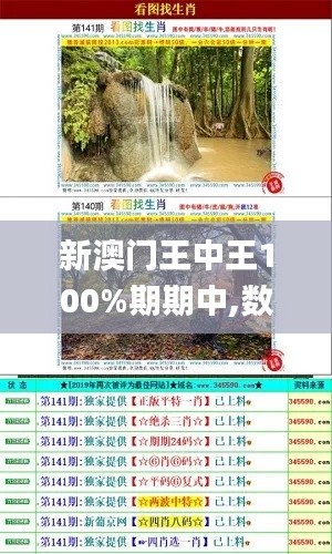 新澳门王中王100%期期中,数据资料解释落实_实验版YLT230.08