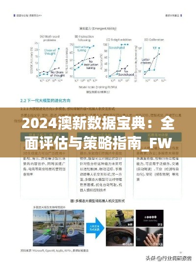 2024澳新数据宝典:全面评估与策略指南_FWK961.3理财版
