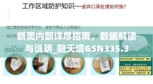 新奥内部详尽指南,数据解读与说明_融天境GSN335.3
