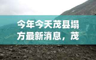 风驰电掣 第25页