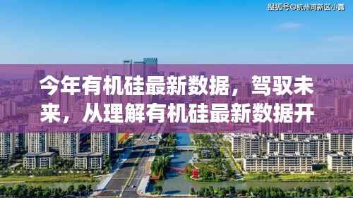 掌握未来,有机硅最新数据解析与趋势洞察