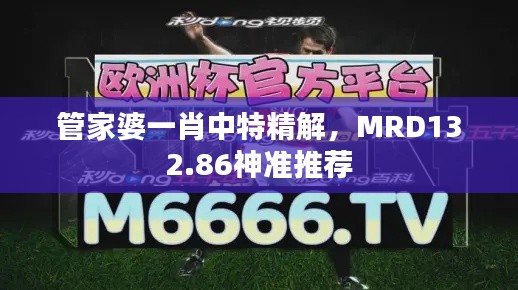 管家婆一肖中特精解,MRD132.86神准推荐