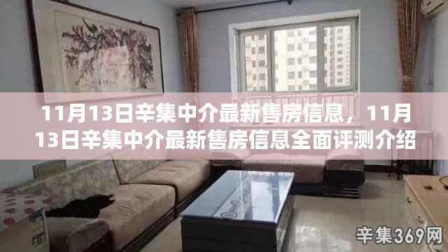 11月13日辛集中介最新售房信息全面解析与评测
