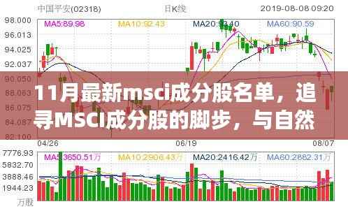 最新MSCI成分股名单揭秘,与自然美景共舞的心灵之旅