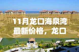 11月龙口海泉湾最新价格动态,查询指南与最新动态掌握