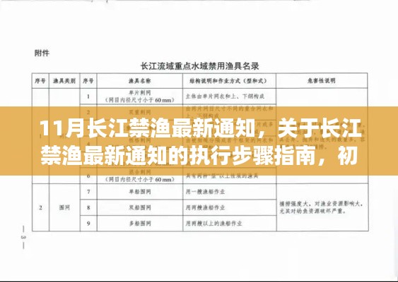 长江禁渔最新通知执行步骤指南,初学者与进阶用户操作手册