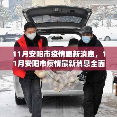 安阳市疫情最新动态,全面解读与防疫任务操作指南