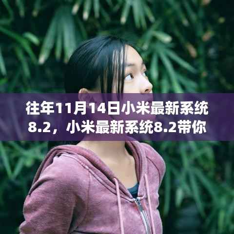 小米最新系统8.2,自然之美与内心平静的旅程探索