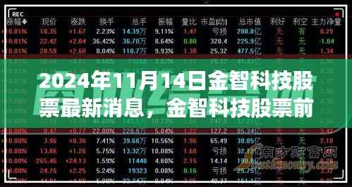 金智科技最新动态及前景展望,深度解读2024年11月14日股市消息