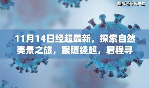 跟随经超的11月自然探索之旅,启程寻找宁静与平和的新篇章