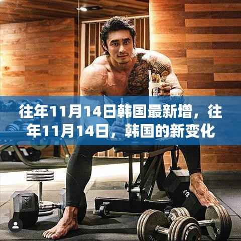 韩国成长之路,历年11月14日的新变化概览