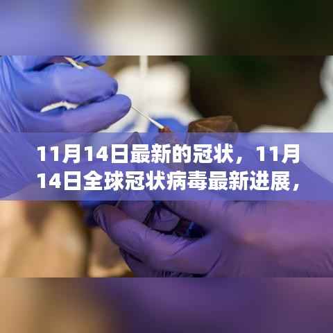 全球冠状病毒最新进展,关键更新与案例分析(截至11月14日)
