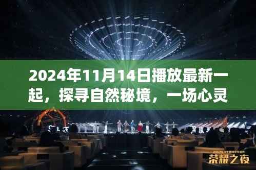 探寻自然秘境,心灵之旅启程于2024年11月14日