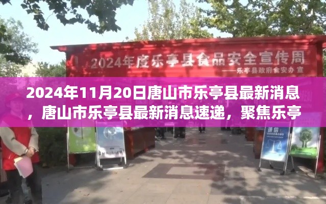 聚焦唐山市乐亭县发展动态,最新消息速递(2024年11月20日版)