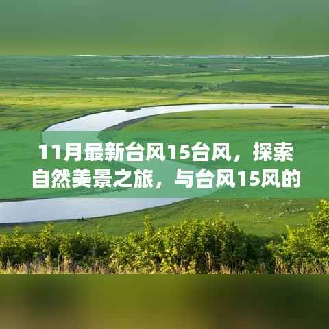 台风15风下的自然探索,与奇妙之旅相约,寻找内心的宁静和平和
