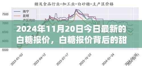 白糖背后的甜蜜故事,友情、家庭与温馨的日常生活——最新白糖报价分享(2024年11月20日)