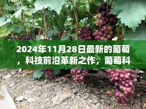 葡萄科技革新之旅,最新葡萄科技新品亮相