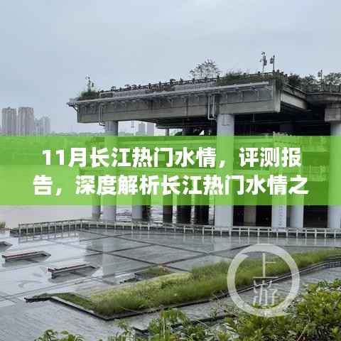 深度解析,长江热门水情十一月特性与体验评测报告