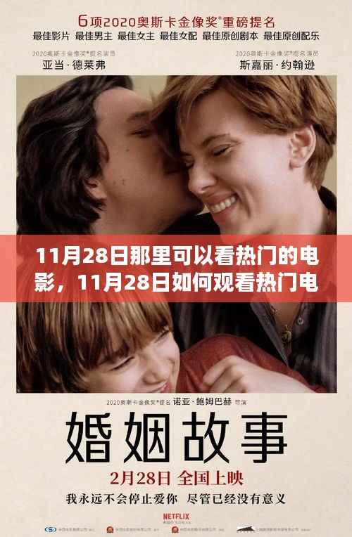 11月28日观看热门电影全攻略,观影地点与步骤指南