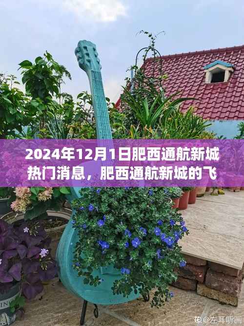 肥西通航新城,飞行梦与温馨日常的热门消息揭秘(2024年12月1日)