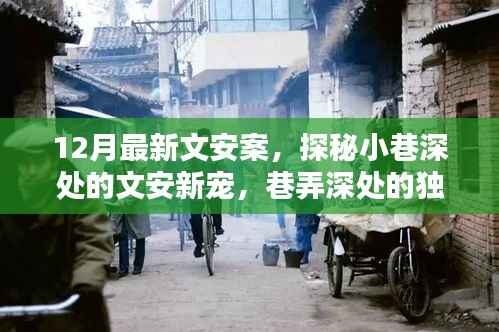 探秘文安案,巷弄深处的独特风味小店新宠