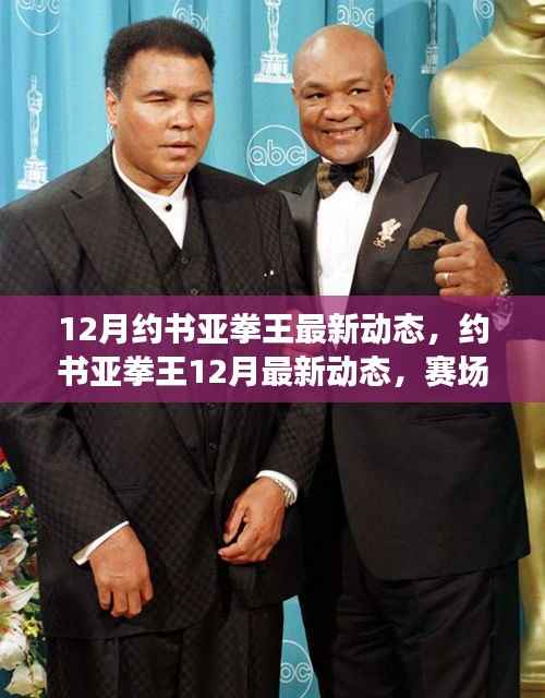 约书亚拳王赛场风云再起,最新动态、训练日常与未来展望(附十二月最新资讯)