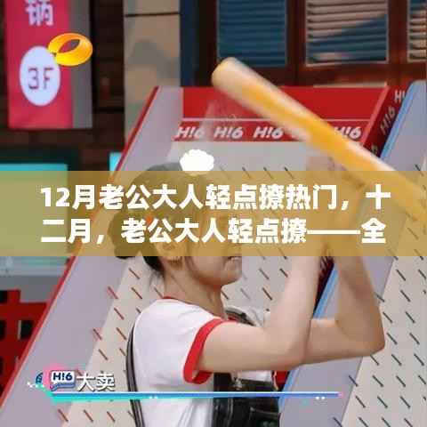 十二月热门话题,老公大人轻点撩——全面评测与介绍