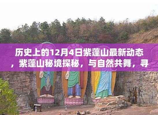 紫蓬山探秘,历史动态与自然宁静的交融之旅(12月4日最新资讯)