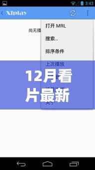 城市小巷中的独特小店,探索隐藏魅力的探险之旅