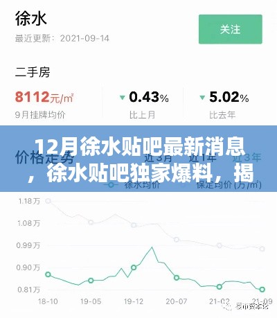 徐水贴吧独家揭秘,十二月最新消息与热议话题总汇