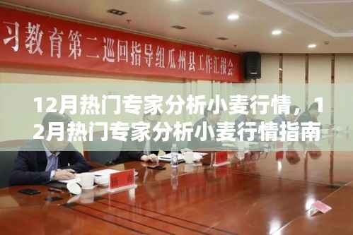 12月热门专家小麦行情解析,从入门到进阶的全方位指南