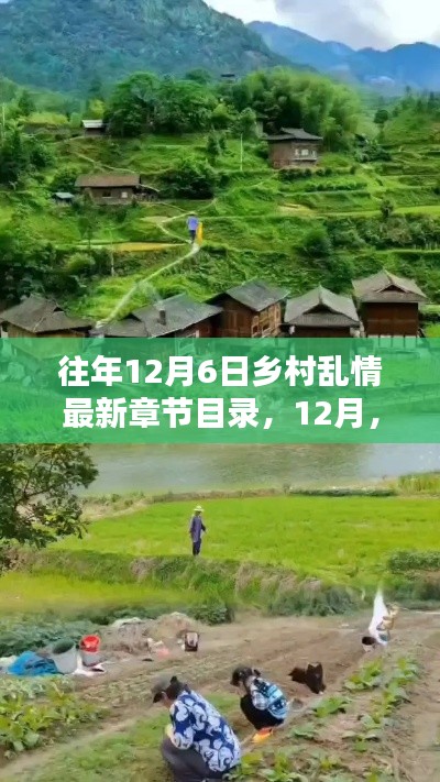 走进乡村美景,寻找内心的宁静与平和——最新乡村乱情章节目录
