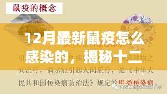 揭秘最新鼠疫感染途径与预防措施,预防胜于恐慌