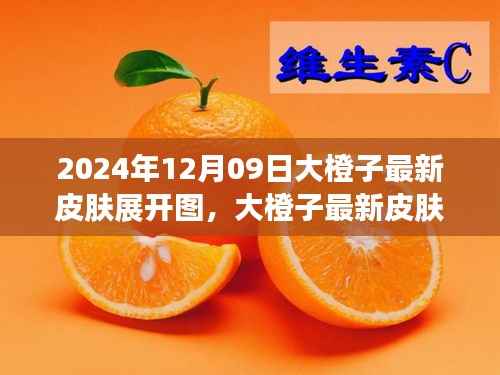 大橙子最新皮肤展开图评测与介绍,2024年12月09日独家报道