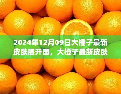 大橙子最新皮肤展开图评测与介绍,2024年12月09日独家报道