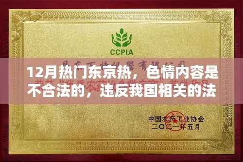 警惕色情陷阱,健康娱乐选择丰富生活,东京热背后的法律与道德准则