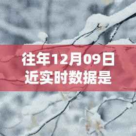 往年12月9日数据的魔法,温馨回忆中的实时时光
