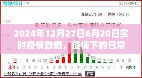 温馨日常中的小确幸,疫情下的陪伴故事与实时疫情数值报告(2024年6月20日至12月27日)