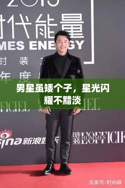 男星虽矮个子,星光闪耀不黯淡