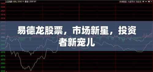 易德龙股票,市场新星,投资者新宠儿