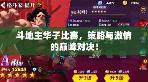 斗地主华子比赛,策略与激情的巅峰对决!